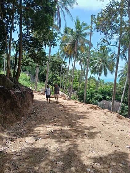 ขายที่ซีวิวเกาะสมุย 5ไร่ ที่สวยเห็นทะเล รูปที่ 4