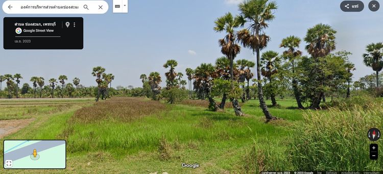 ขายที่นาเพชรบุรี