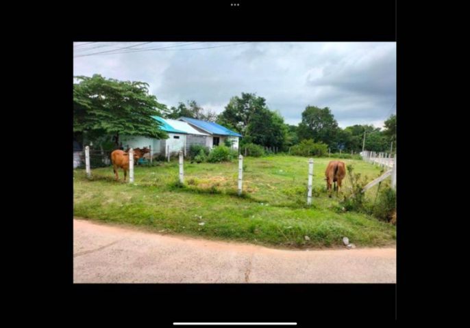  ที่ดินแปลงมุม 175ตรว.(จ.อุบล)