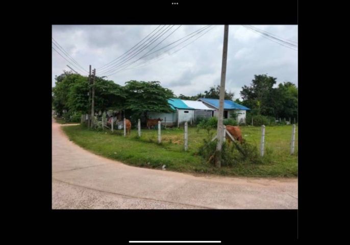  ที่ดินแปลงมุม 175ตรว.(จ.อุบล) รูปที่ 4
