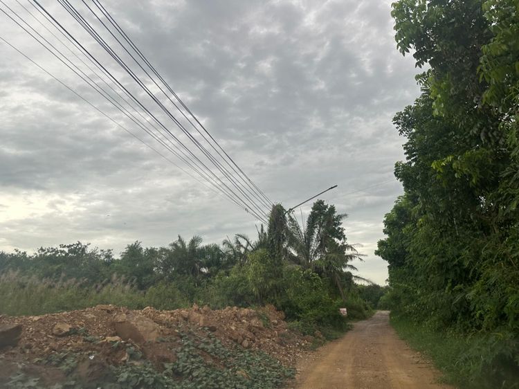 ขายที่ดิน จังหวัดราชบุรี รูปที่ 3