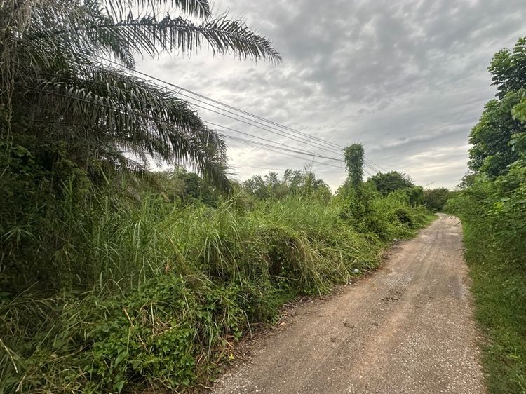 ขายที่ดิน จังหวัดราชบุรี รูปที่ 2