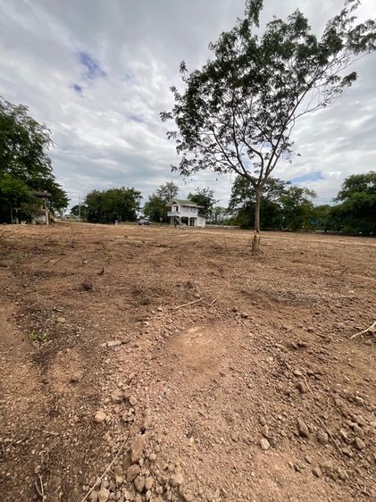 ขายที่ดินโครงการ รูปที่ 3