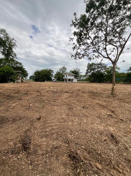 ขายที่ดินโครงการ รูปที่ 4