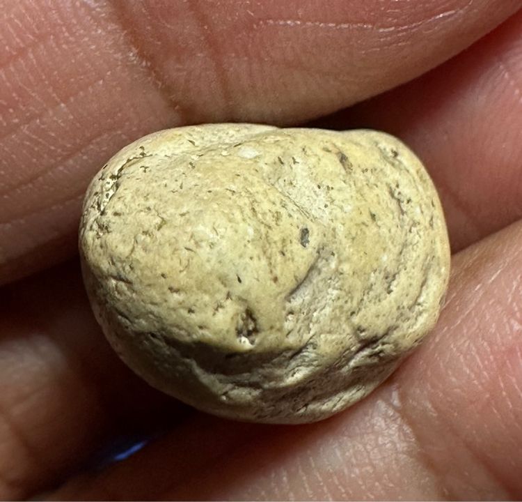 พระผงวัดพลับ พิมพ์สมาธิเล็ก (ไข่จิ้งจก) รูปที่ 7