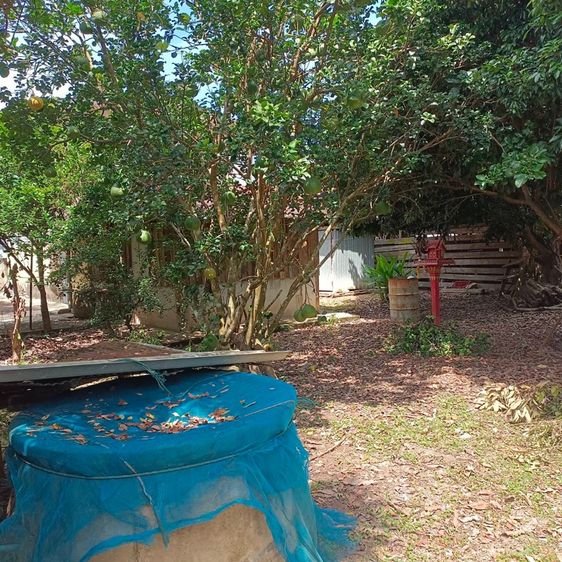 ไม่ใช่ ที่ดิน 2 งาน 35 ตรว.พร้อมบ้าน1หลัง รูปที่ 3