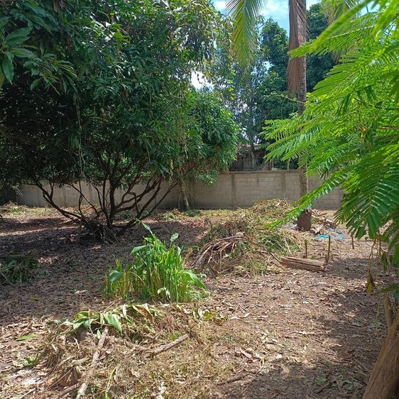 ไม่ใช่ ที่ดิน 2 งาน 35 ตรว.พร้อมบ้าน1หลัง รูปที่ 2