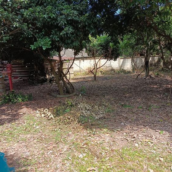 ที่ดิน 2 งาน 35 ตรว.พร้อมบ้าน1หลัง