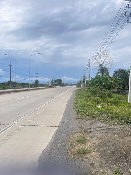 ที่ดินเชียงใหม่ สวนลำไย