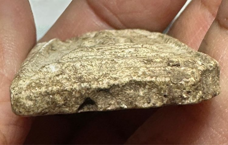 🙏พระสมเด็จเกจิ ยุคเก่า ไม่ทราบที่🙏พระสมเด็จ เนื้อเก่า องค์ละ1000 รูปที่ 13