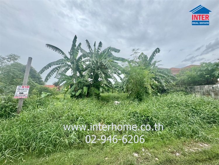 ไม่ใช่ ที่ดินเปล่า 127.3 ตร.ว. ที่ดินเปล่า ซอยพหลโยธิน55 ใกล้วัดพระศรีมหาธาตุ ถนนพหลโยธิน ถนนพหลโยธิน55 เขตบางเขน กรุงเทพมหานคร รูปที่ 2