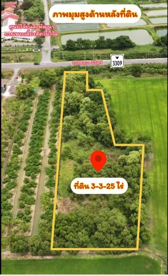 ขายที่ดิน 3-3-25 ไร่ ติดถนนทางหลวง 3309 ก่อนถึงศูนย์ศิลปาชีพบางไทร  2.4 กม. ห่างจากทางหลวงหมายเลข 9 ถนนกาญจนาภิเษก (วงแหวนรอบนอก) 1 กม. รูปที่ 2