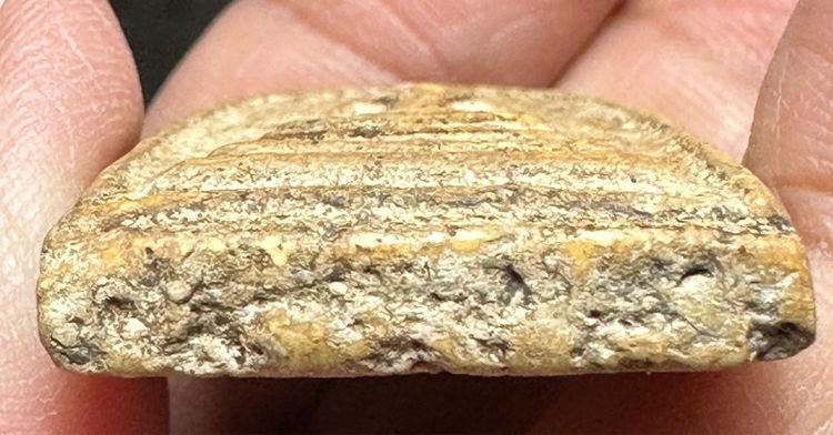 🙏พระสมเด็จพิมพ์ทรงเจดีย์🙏พระสมเด็จพิมพ์ใหญ่เกศทะลุซุ้ม🙏พระสมเด็จพิมพ์ใหญ่มีมวลสาร องค์ละ1000 รูปที่ 6