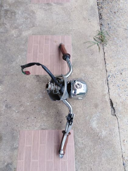 แฮน​เรือน​ไมล์​ฟีโน​่แท้​ รูปที่ 2