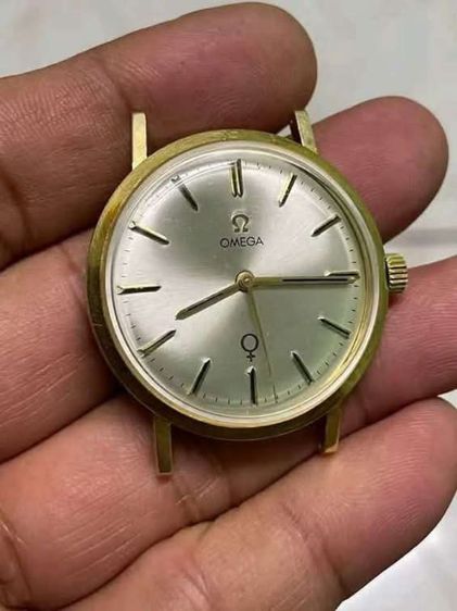  omega  รูปที่ 4