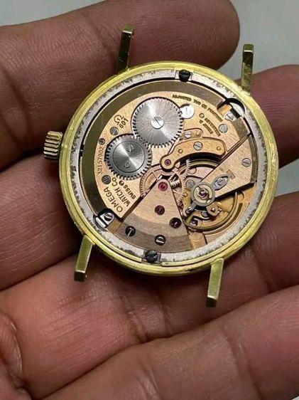  omega  รูปที่ 3