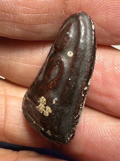 พระขรัวอีโต้ จุ่มรัก รูปที่ 4