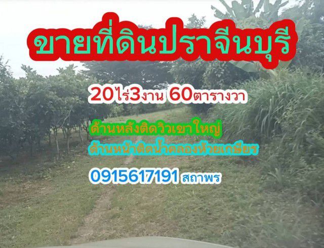 ขายที่ดิน20ไร่ ราคาไร่ละ1,500,000บาทด้านหลังวิวเขาใหญ่ สนใจโทร 0915617191 สถาพร ที่ดินปราจีน ทีดินใกล้ทางขึ้นเขาใหญ่ ที่ดินราคาถูก รูปที่ 2