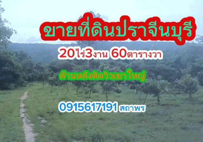 ขายที่ดิน20ไร่ ราคาไร่ละ1,500,000บาทด้านหลังวิวเขาใหญ่ สนใจโทร 0915617191 สถาพร ที่ดินปราจีน ทีดินใกล้ทางขึ้นเขาใหญ่ ที่ดินราคาถูก รูปที่ 3