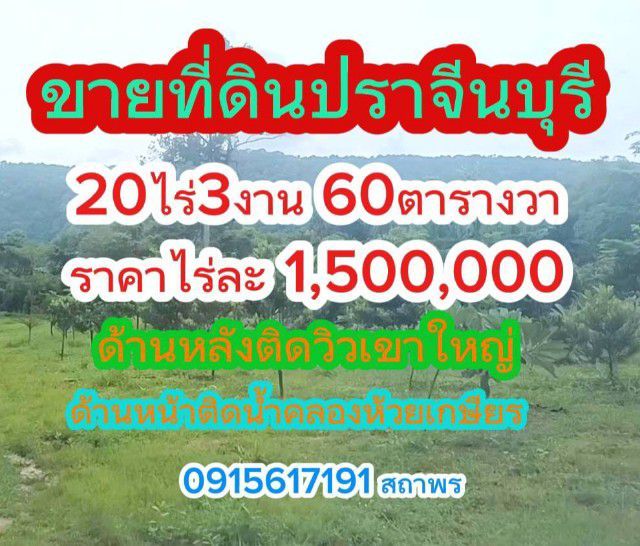 ขายที่ดิน20ไร่ ราคาไร่ละ1,500,000บาทด้านหลังวิวเขาใหญ่ สนใจโทร 0915617191 สถาพร ที่ดินปราจีน ทีดินใกล้ทางขึ้นเขาใหญ่ ที่ดินราคาถูก