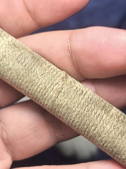 ตะกรุดโทนหลวงปู่ศุข วัดโพธิ์ทรายทองเนื้อตะกั่ว รูปที่ 10