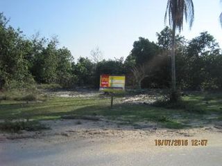 💖 ที่ดิน ตากใบ ราคาพิเศษ! 💖