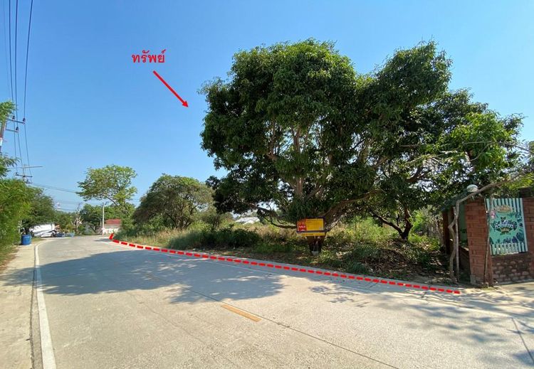 💖 ที่ดิน เมืองระยอง ราคาพิเศษ! 💖