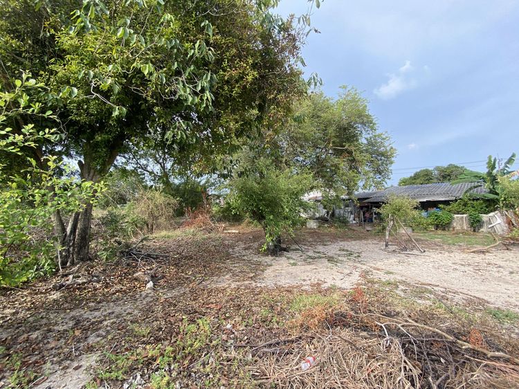 ใช่ 💖 ที่ดิน เมืองระยอง ราคาพิเศษ! 💖 รูปที่ 4