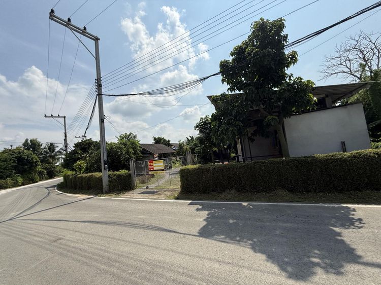 ใช่ 💖 บ้าน สันป่าตอง ราคาพิเศษ! 💖