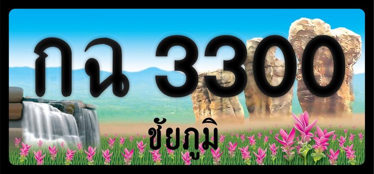 ป้ายประมูล ชัยภูมิ รูปที่ 3