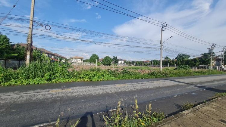 ไม่ใช่ ขายที่ดินถนนชัยพฤกษ์ตัดใหม่เนื้อที่2ไร่ 3งาน 55ตรว. รูปที่ 2