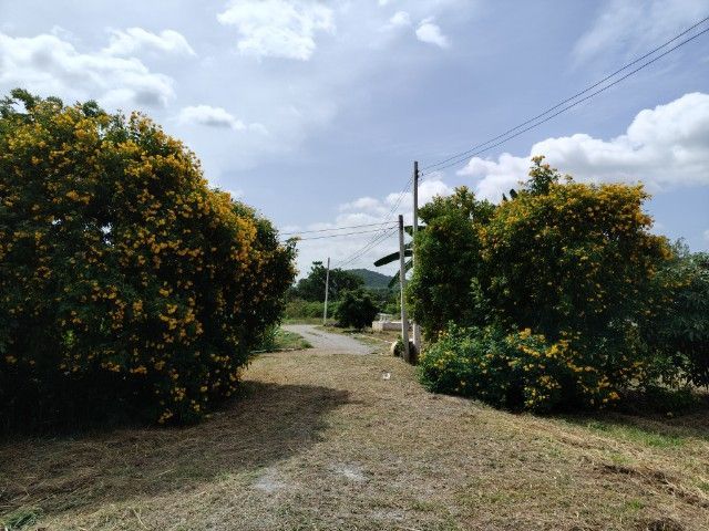 ขายบ้านพร้อมที่ดิน ประมาณ 4 ไร่  ราคา 1,890,000 บ. รูปที่ 4