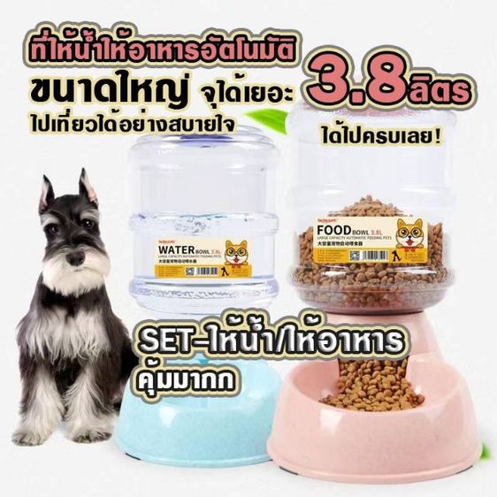 เครื่องให้อาหาร และน้ำอัตโนมัติสำหรับสัตว์เลี้ยงตัวโปรด น้ำพุแมวสัตว์เลี้ยงอัตโนมัติ พร้อมตัวกรองน้ำขนาด 1.5 ลิตร