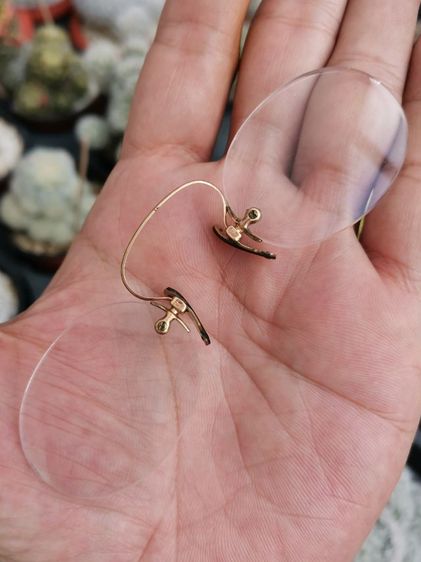 แว่นหนีบจมูกโบราณ ทอง Gold Filled​ งานเก่างานนอก หายากมาก ราคาแบ่งปันครับ รูปที่ 3