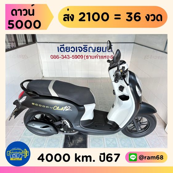 Honda Scoopy Club12    วิ่ง4,000 โล  ปี 67