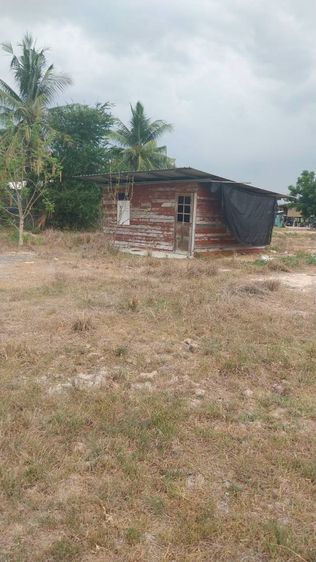 ที่ดิน รูปที่ 3