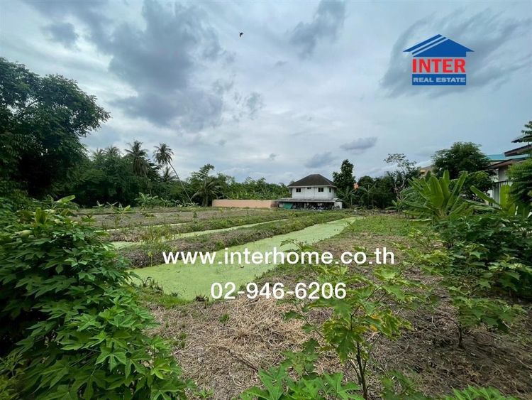 ไม่ใช่ ที่ดินเปล่า 1 ไร่ 244 ตร.ว. ที่ดิน ใกล้ Infinity Wrap Cars ถนนเพชรเกษม ถนนกัลปพฤกษ์ เขตภาษีเจริญ กรุงเทพมหานคร รูปที่ 3