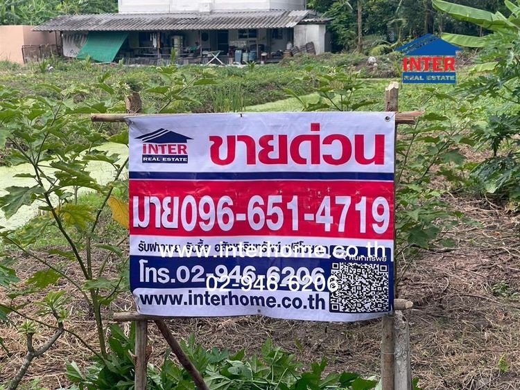 ไม่ใช่ ที่ดินเปล่า 1 ไร่ 244 ตร.ว. ที่ดิน ใกล้ Infinity Wrap Cars ถนนเพชรเกษม ถนนกัลปพฤกษ์ เขตภาษีเจริญ กรุงเทพมหานคร รูปที่ 2