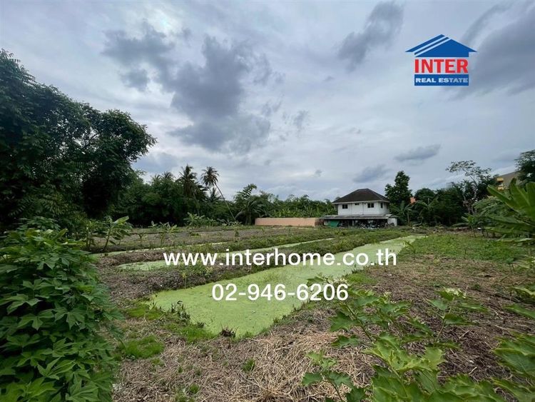 ไม่ใช่ ที่ดินเปล่า 1 ไร่ 244 ตร.ว. ที่ดิน ใกล้ Infinity Wrap Cars ถนนเพชรเกษม ถนนกัลปพฤกษ์ เขตภาษีเจริญ กรุงเทพมหานคร รูปที่ 4