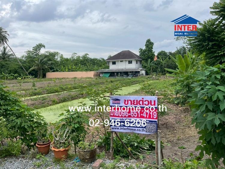 ไม่ใช่ ที่ดินเปล่า 1 ไร่ 244 ตร.ว. ที่ดิน ใกล้ Infinity Wrap Cars ถนนเพชรเกษม ถนนกัลปพฤกษ์ เขตภาษีเจริญ กรุงเทพมหานคร