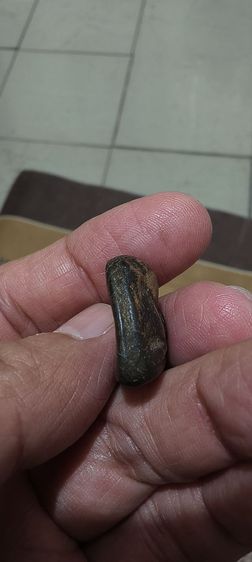 เบี้ยเก่าๆโบราณ รูปที่ 6