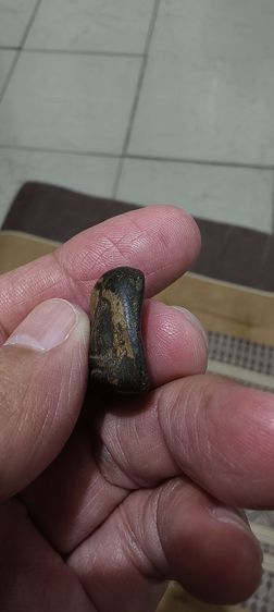 เบี้ยเก่าๆโบราณ รูปที่ 7