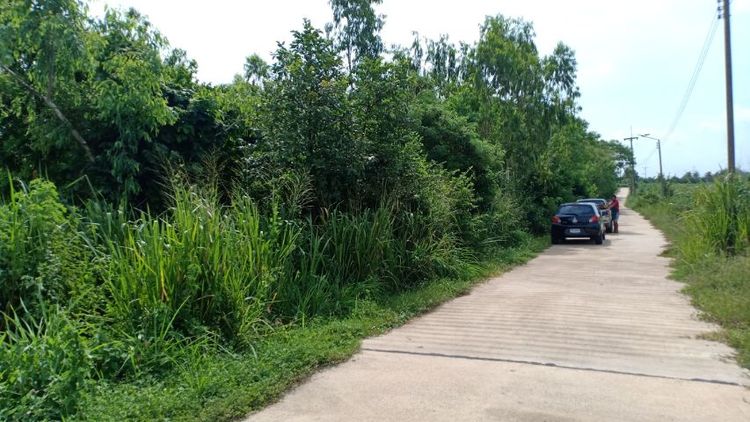 ขายที่ดินบ่อทอง 1-3-74ไร่ ต.บ่อกวางทอง อ.บ่อทอง จ.ชลบุรี รูปที่ 2