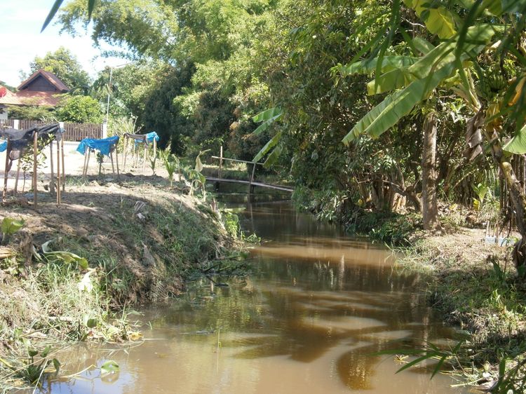 ไม่ใช่ ที่ดินสวย รูปที่ 3