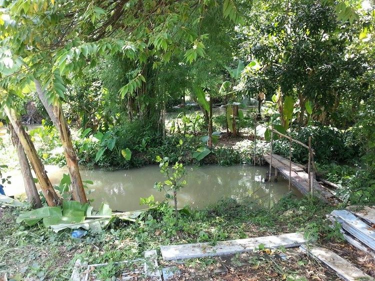 ไม่ใช่ ที่ดินสวย รูปที่ 4