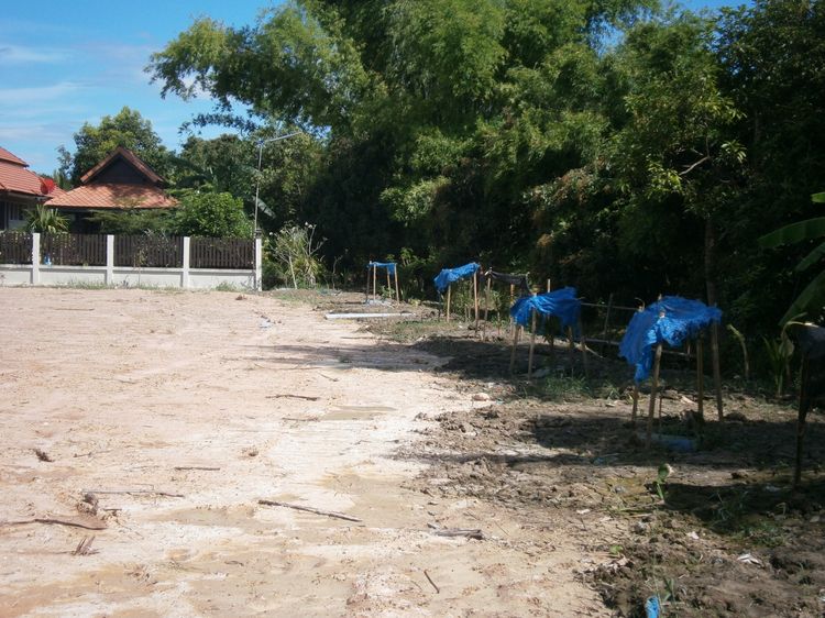 ไม่ใช่ ที่ดินสวย รูปที่ 2