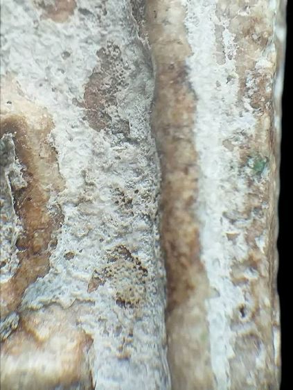 พิมพ์สังฆฏิ. รูปที่ 13