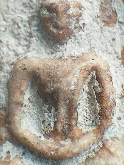 พิมพ์สังฆฏิ. รูปที่ 6