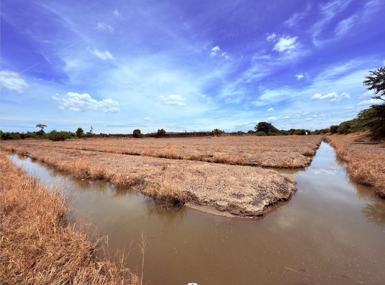 ที่ดินแปลงใหญ่ทำเลธรรมชาติ เพื่อธุรกิจอสังหาฯ