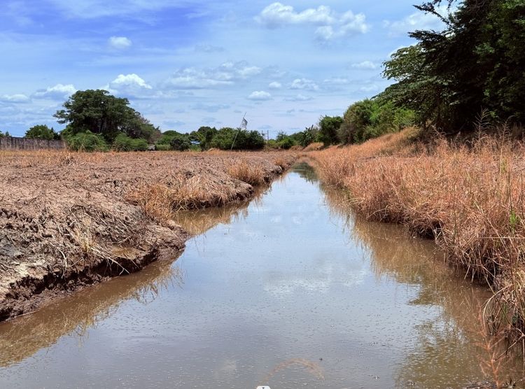 ที่ดินแปลงใหญ่ทำเลธรรมชาติ เพื่อธุรกิจอสังหาฯ รูปที่ 4